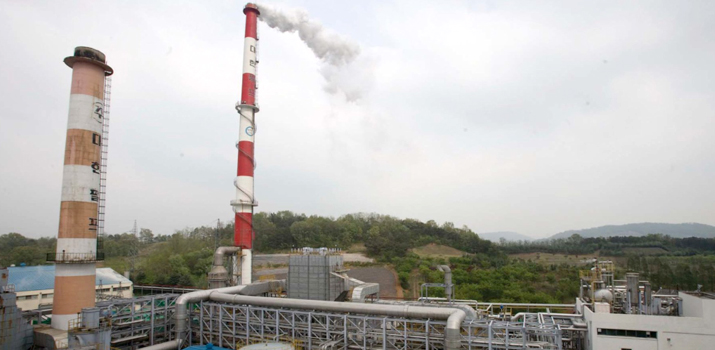 Daehan Pulp Co-generation Power Plant 대표 이미지