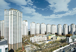 BanPo Xi